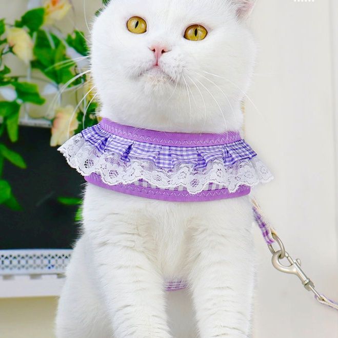 猫グッズ お姫様の避難ハーネス