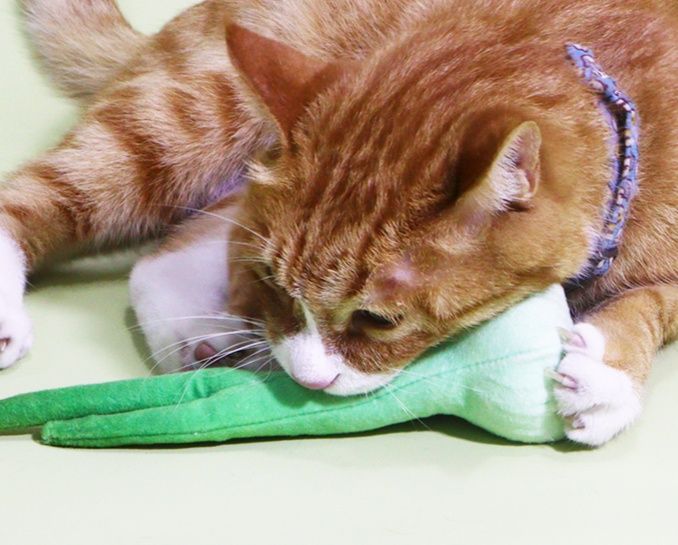 猫グッズ ねこの喜び 野菜のんびりクッション