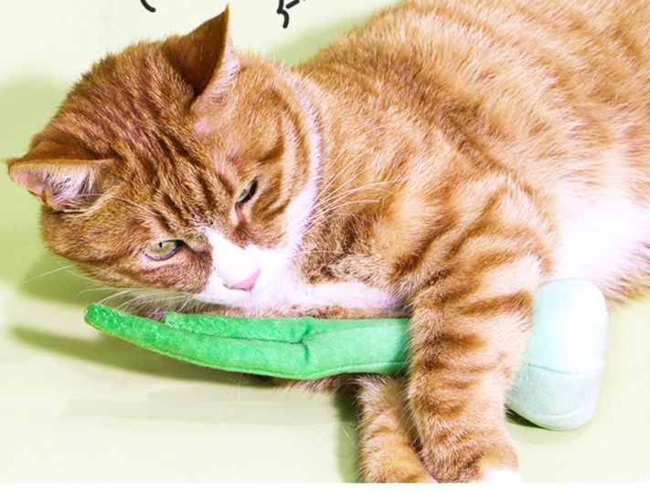 猫グッズ ねこの喜び 野菜のんびりクッション