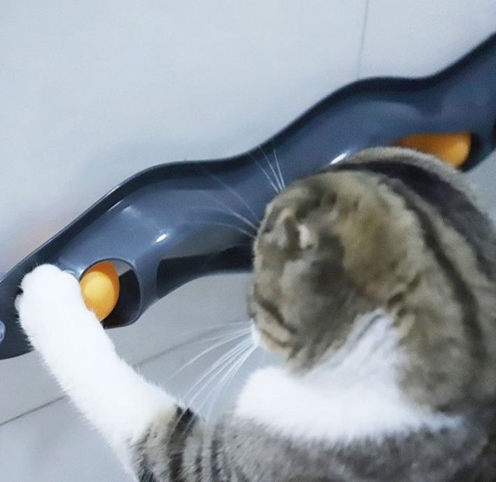 猫グッズ ぐるぐる追いかけ 吸盤式ねこボールトラック