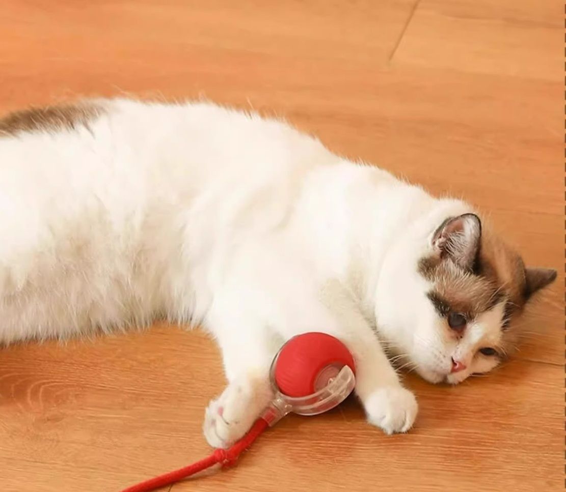 猫グッズ ぴょんぴょんボール 猫の運動パートナー