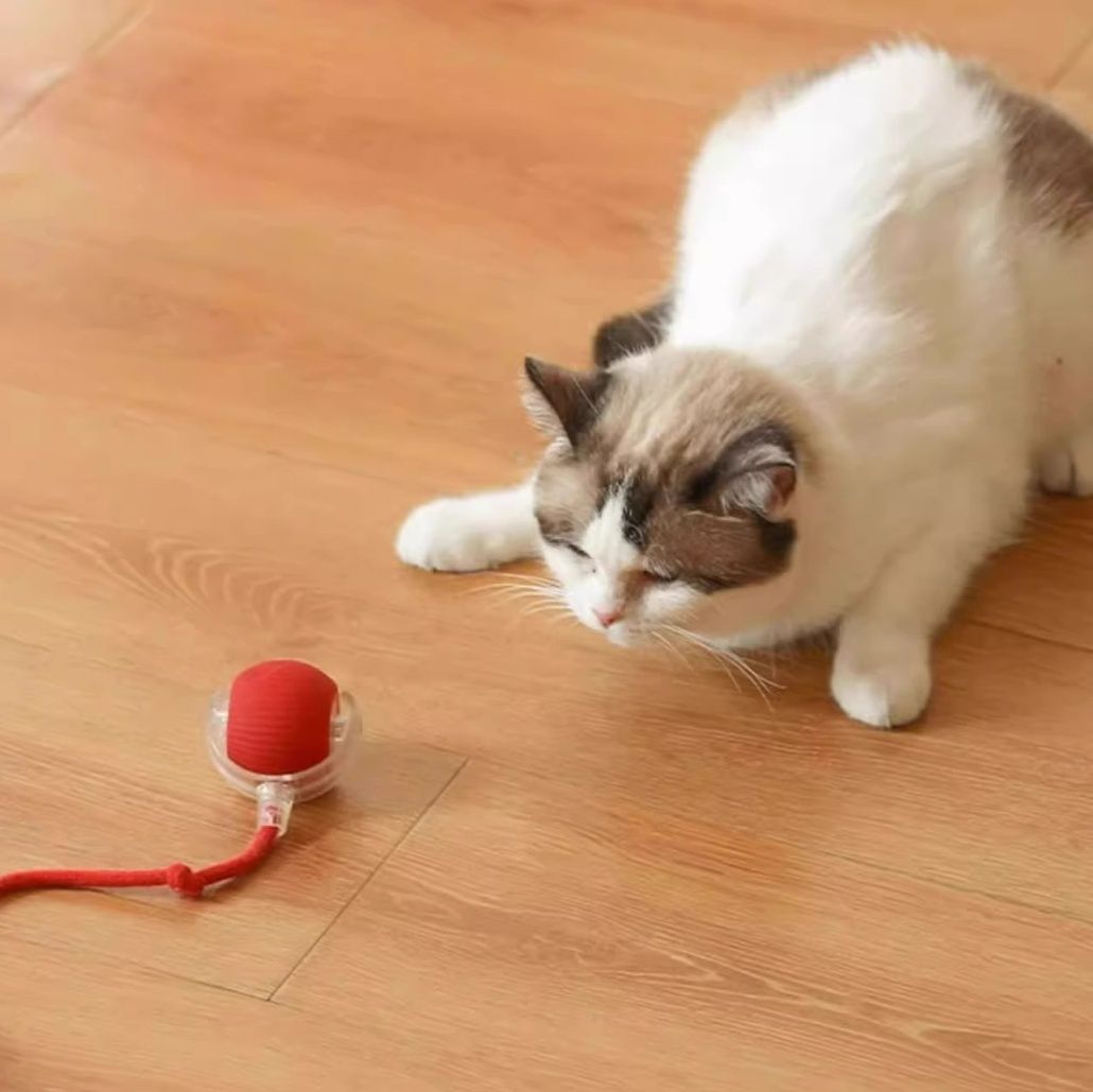 猫グッズ ぴょんぴょんボール 猫の運動パートナー