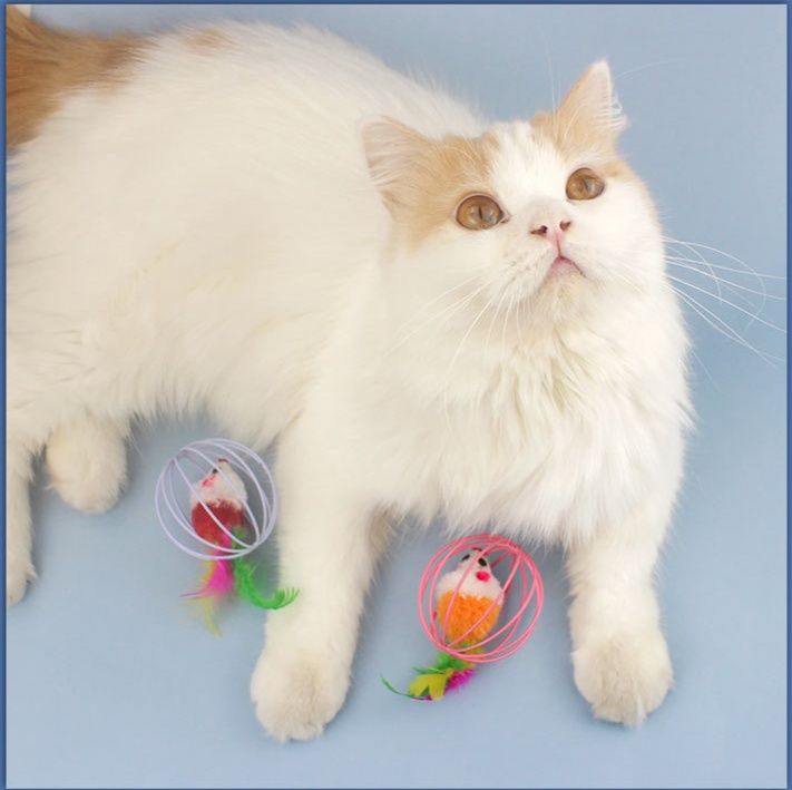 猫グッズ 鳥かごボールの遊び時間