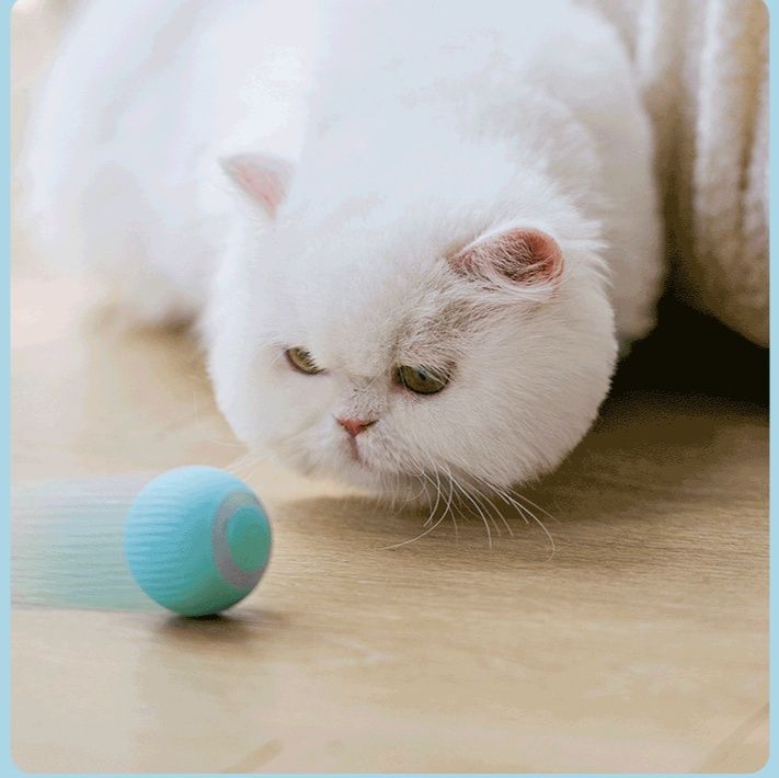 猫グッズ ぐるぐるボール 猫の狩猟本能刺激玩具