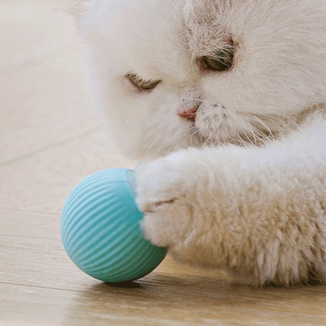 猫グッズ ぐるぐるボール 猫の狩猟本能刺激玩具