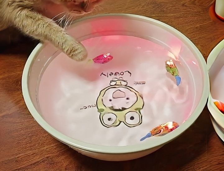猫グッズ 猫ちゃんの水中釣り堀ボウル