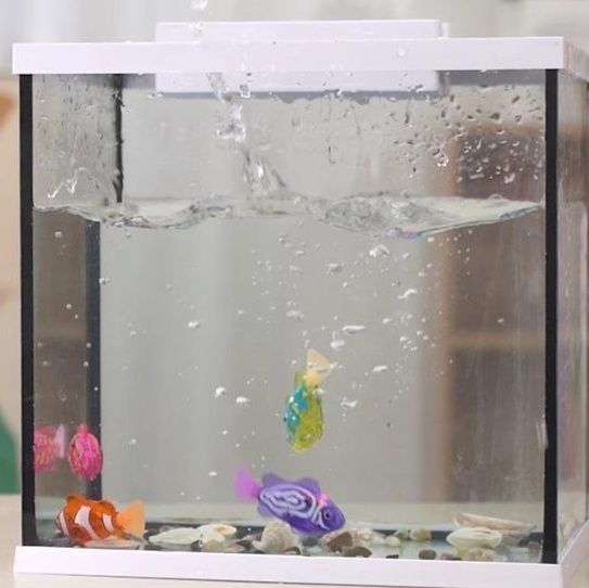 猫グッズ 猫ちゃんの水中釣り堀ボウル