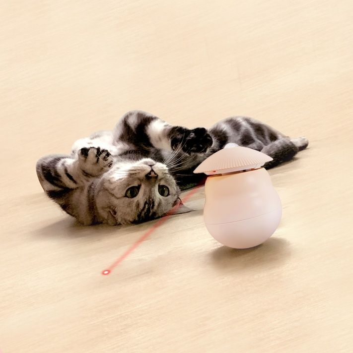 猫グッズ 自動レーザー猫じゃらし