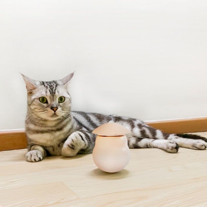 猫グッズ 自動レーザー猫じゃらし