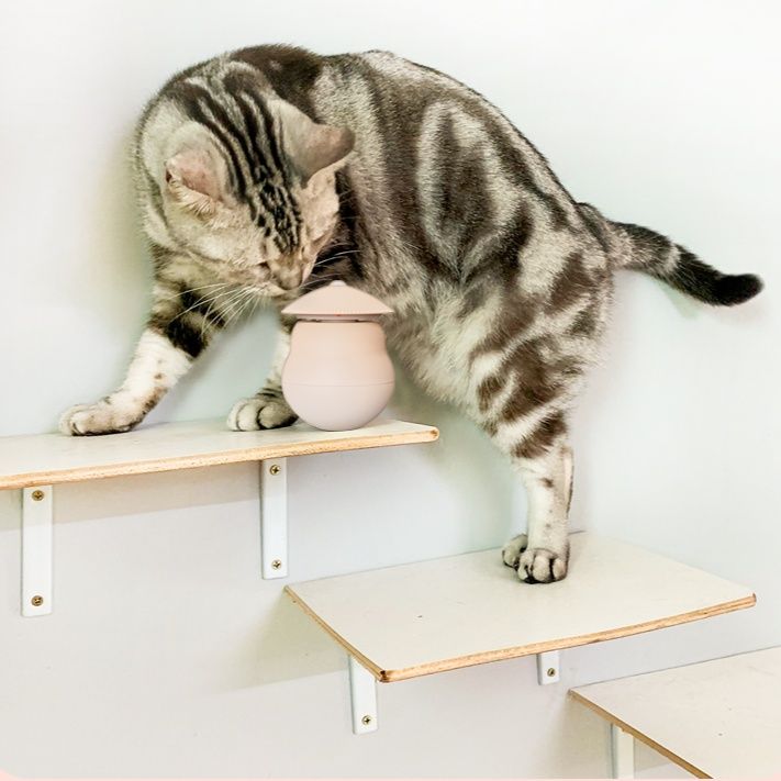猫グッズ 自動レーザー猫じゃらし
