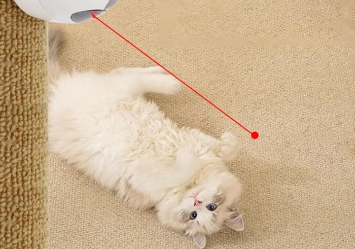 猫グッズ 魔法レーザーポイントメーカー