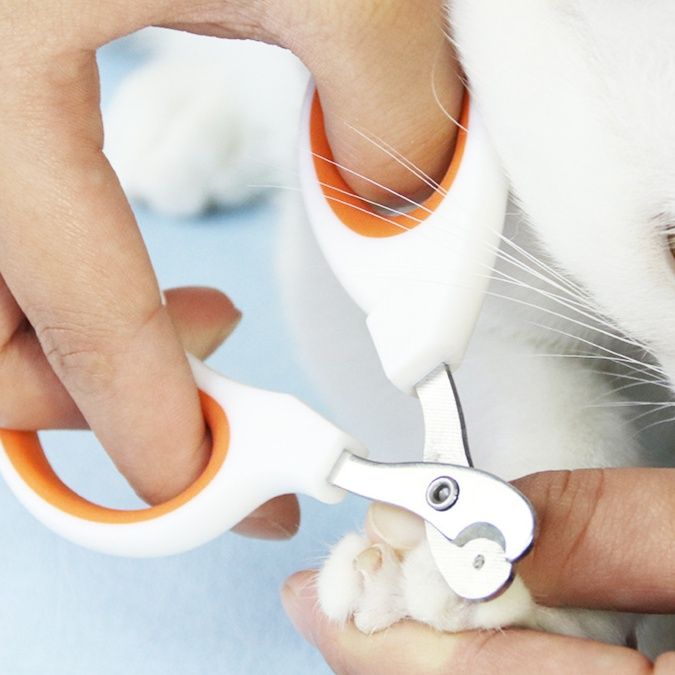 猫グッズ にゃんこ優しい安心爪切りはさみ