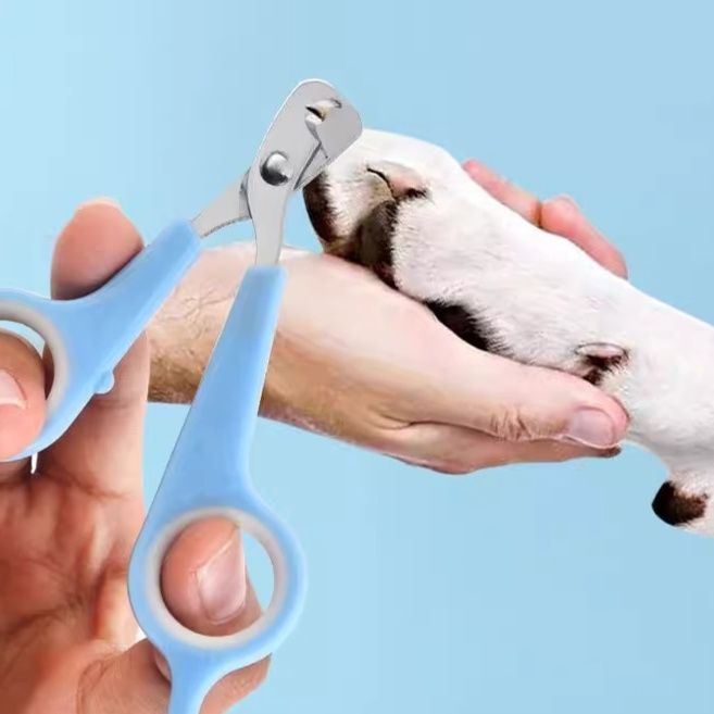 猫グッズ 猫のやさしい爪切りハサミ