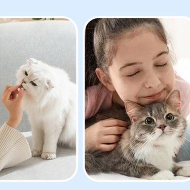 猫グッズ 飛び跳ねボール猫じゃらし棒
