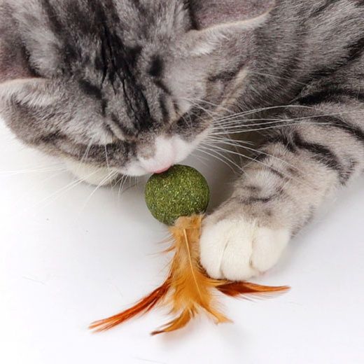 猫グッズ ふわもこ薄荷ボール