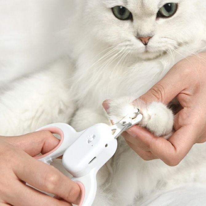 猫グッズ やさしい手触り 猫用爪切りはさみ