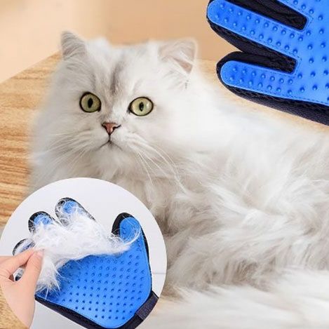 猫グッズ 猫専用撫でるだけ抜け毛取り手袋