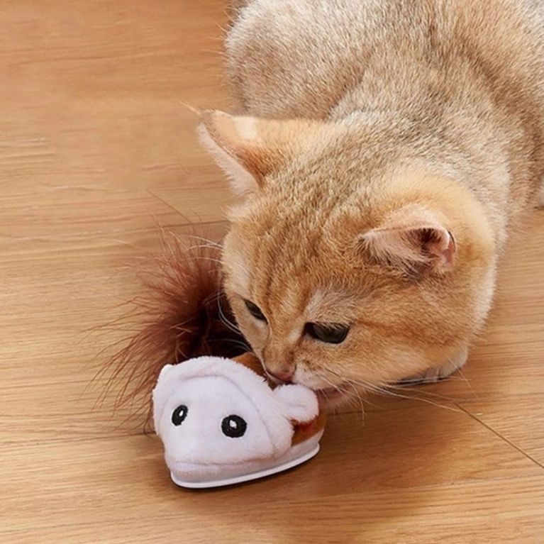 https://fulmo-img-server.com/nyanmono/1759043747826_fko6s2z9_aqjjjghk.jpeg