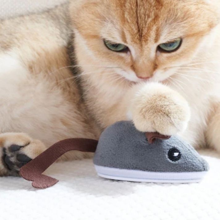 https://fulmo-img-server.com/nyanmono/1759043756495_zum0zmem_h2gvrolr.jpeg