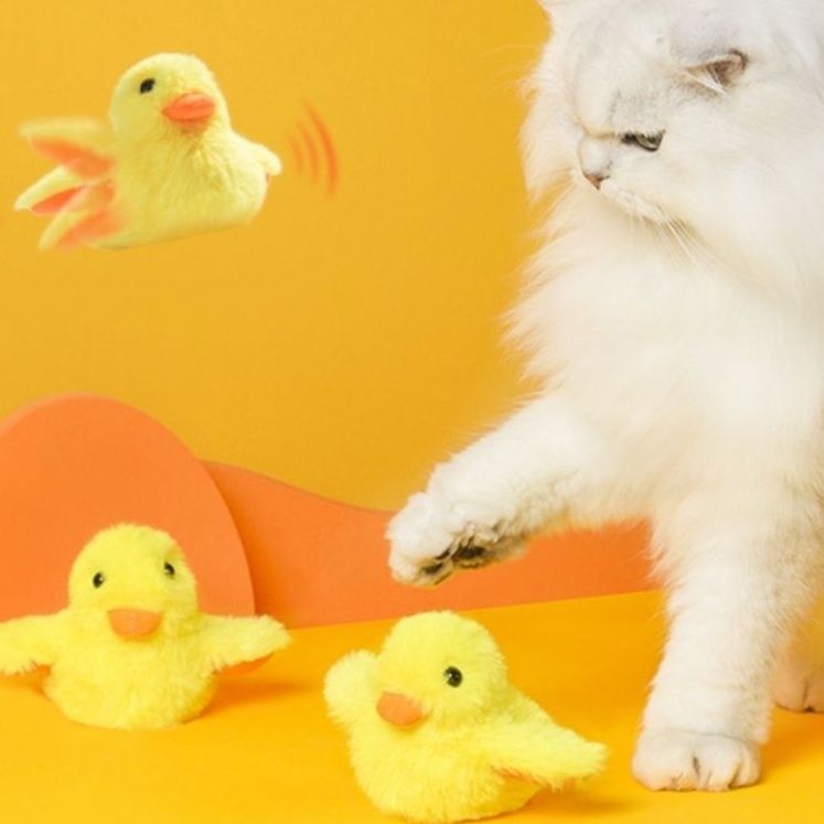 https://fulmo-img-server.com/nyanmono/1759043875196_zqe3njnr_qinpptl1.jpeg