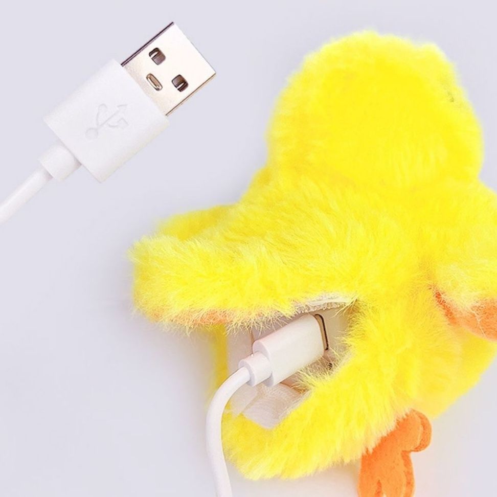https://fulmo-img-server.com/nyanmono/1759043910714_s93pkcwl_3qkr1bqf.jpeg
