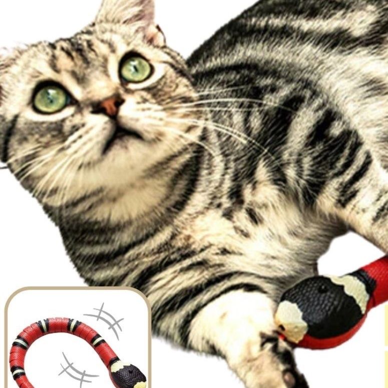 https://fulmo-img-server.com/nyanmono/1759044349436_g3uvwbb4_0n8nagd5.jpeg