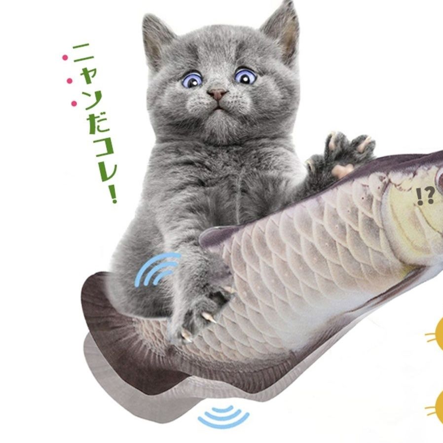 https://fulmo-img-server.com/nyanmono/1759044428640_s28dnrfc_typv57qb.jpeg