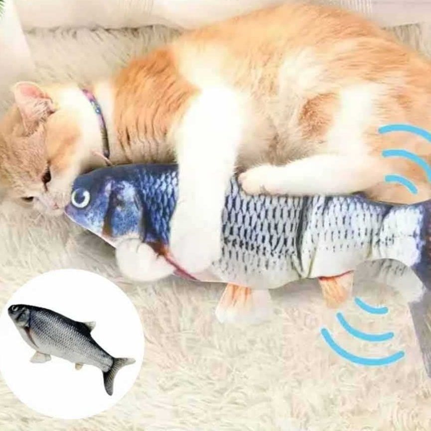 https://fulmo-img-server.com/nyanmono/1759044556900_l5rn1vhu_nfwnn5s5.jpeg