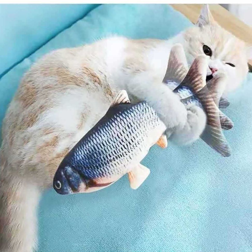 https://fulmo-img-server.com/nyanmono/1759044562783_blvs3ftd_8a27px9i.jpeg