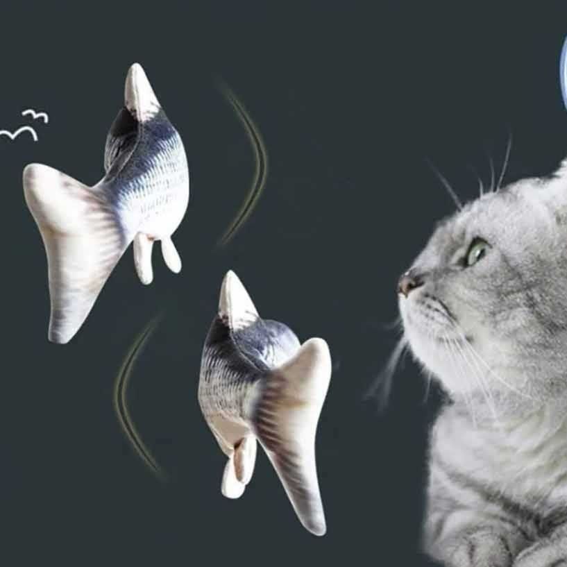 https://fulmo-img-server.com/nyanmono/1759044570824_4neeqyeg_e6wxwi00.jpeg