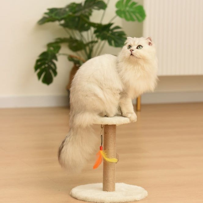 https://fulmo-img-server.com/nyanmono/1759045228253_vu8q5b0n_78r0qvja.jpeg