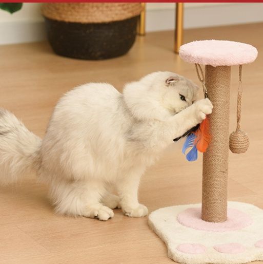 https://fulmo-img-server.com/nyanmono/1759045245971_7gk90zen_tvedjxt4.jpeg
