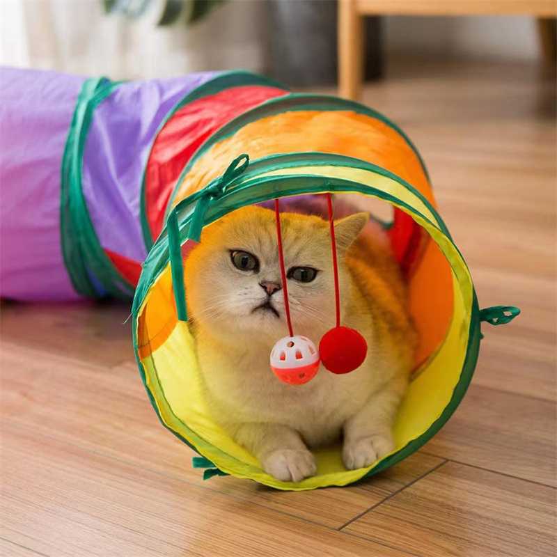 おもちゃで遊ばない猫におすすめアイテム5選