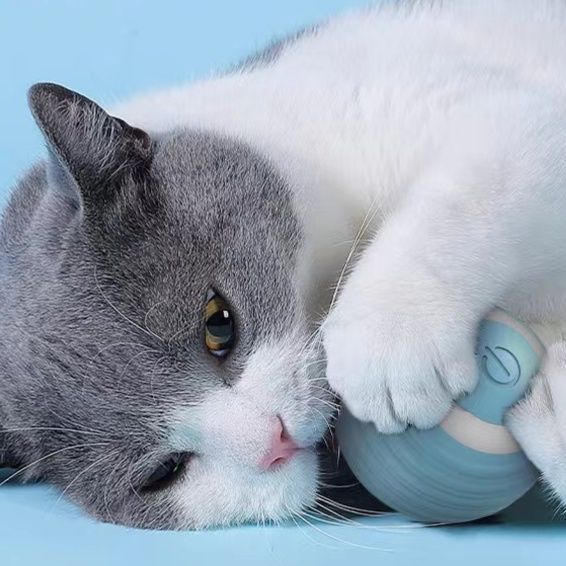 猫グッズ 運動不足解消グッズ 自動回転猫じゃらし玉