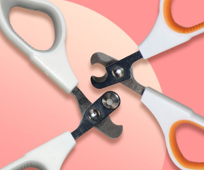 猫グッズ 爪切りグッズ 小型愛猫用安全爪切りはさみセット