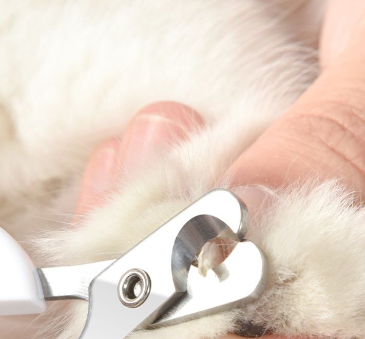 猫グッズ 爪切りグッズ 猫用人間工学設計爪切りはさみ