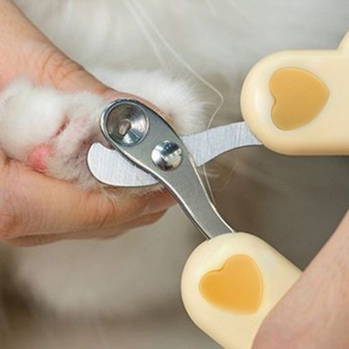 猫グッズ 爪切りグッズ 安心固定穴付き爪切りはさみ