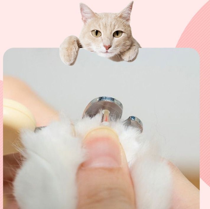 猫グッズ 爪切りグッズ 安心固定穴付き爪切りはさみ