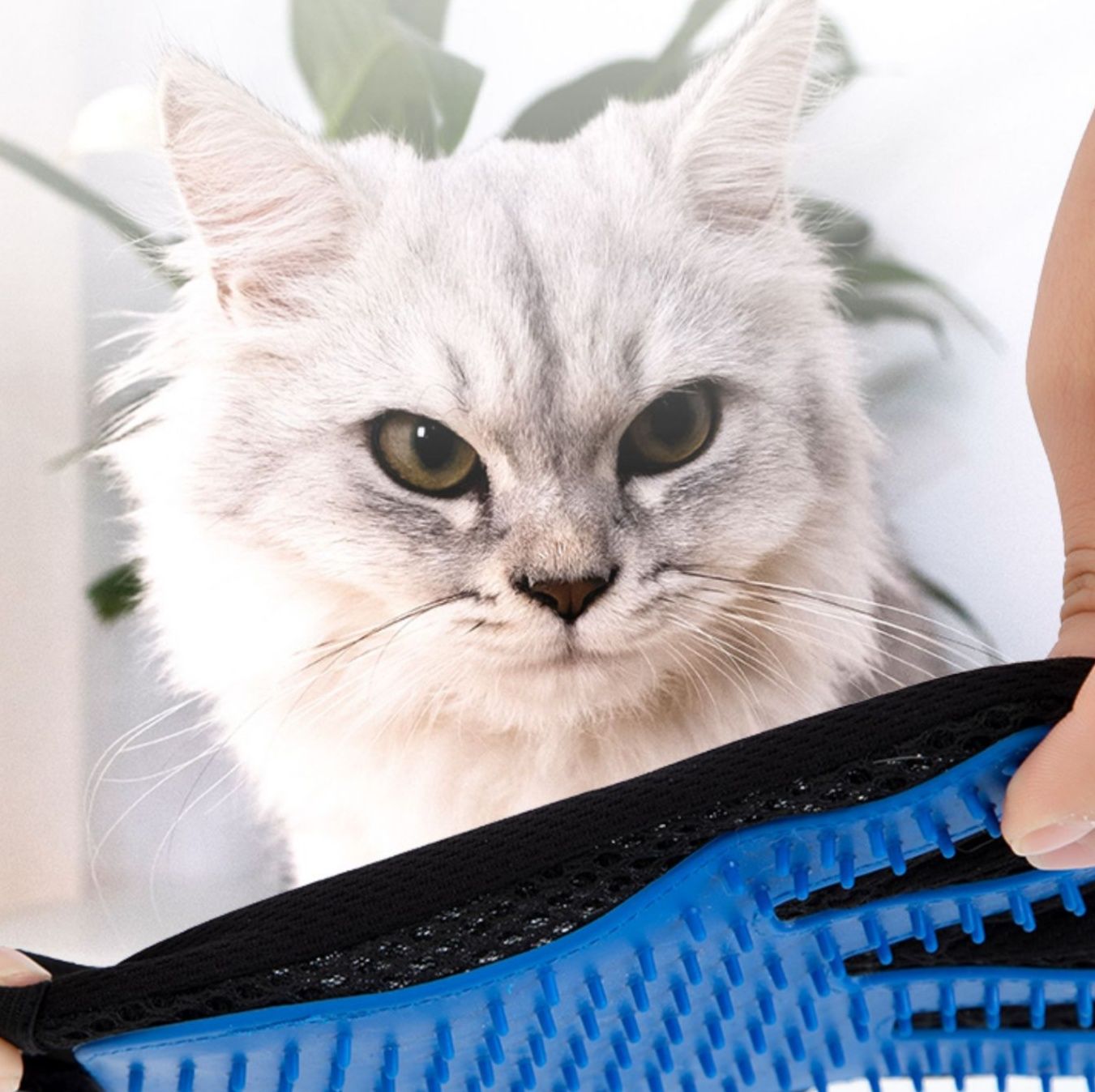 猫グッズ 抜け毛対策グッズ 魔法の手袋型毛玉取りグローブ