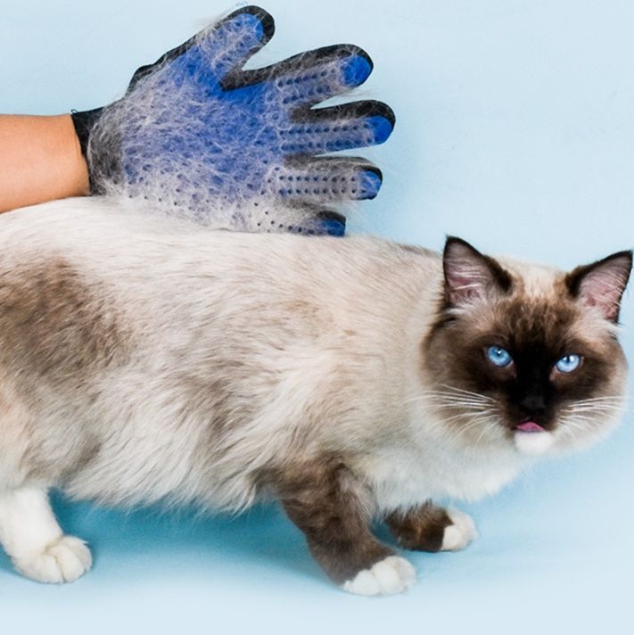 猫グッズ 抜け毛対策グッズ 猫毛集中除去手袋