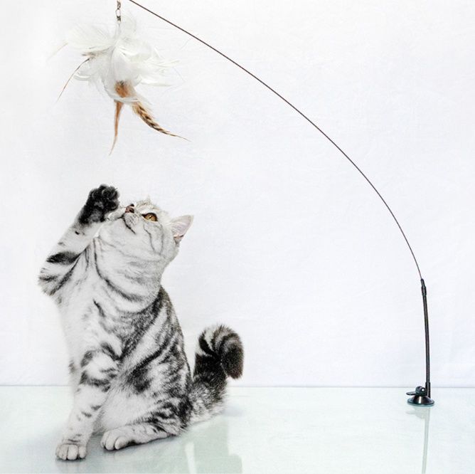 猫グッズ 運動不足解消グッズ 吸盤式羽毛じゃらし猫の狩猟本能刺激グッズ
