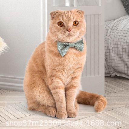 猫グッズ 抜け毛対策グッズ 猫毛すっきり三層刃毛取りワイパー