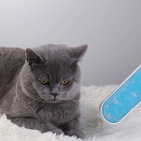 猫グッズ 抜け毛対策グッズ 猫毛クリーナー 両面式 収納台座