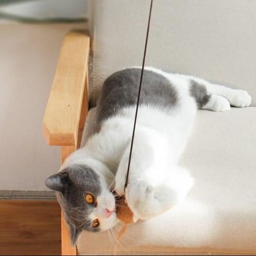 猫グッズ 運動不足解消グッズ 木製棒付き毛玉じゃらし猫遊び棒