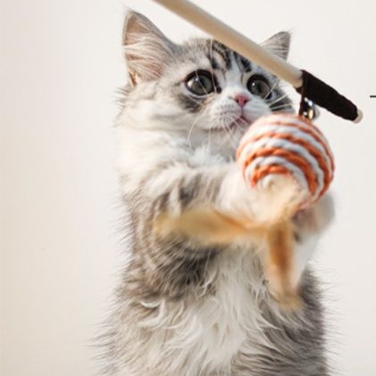 猫グッズ 運動不足解消グッズ 猫じゃらし釣り竿式羽根付きじゃれ玩具