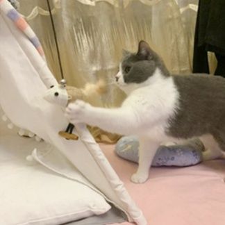 猫グッズ 運動不足解消グッズ 猫じゃらし釣り竿式羽根付きじゃれ玩具