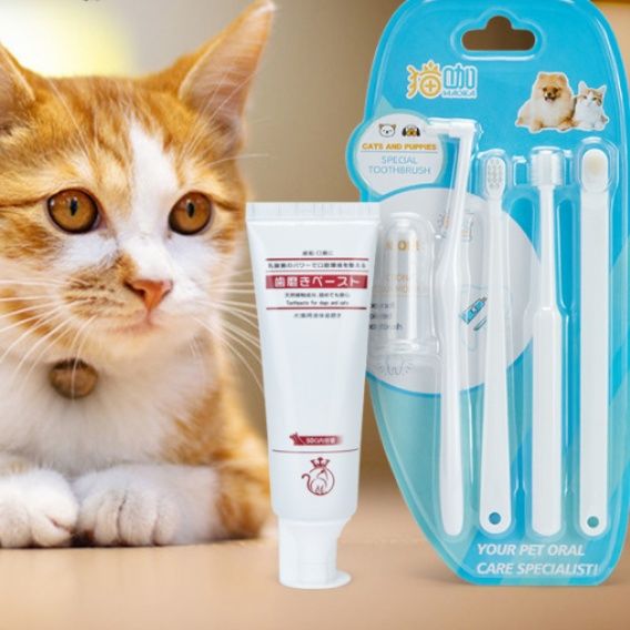 猫グッズ 愛猫の歯と歯茎を守る三本入り歯磨きセット