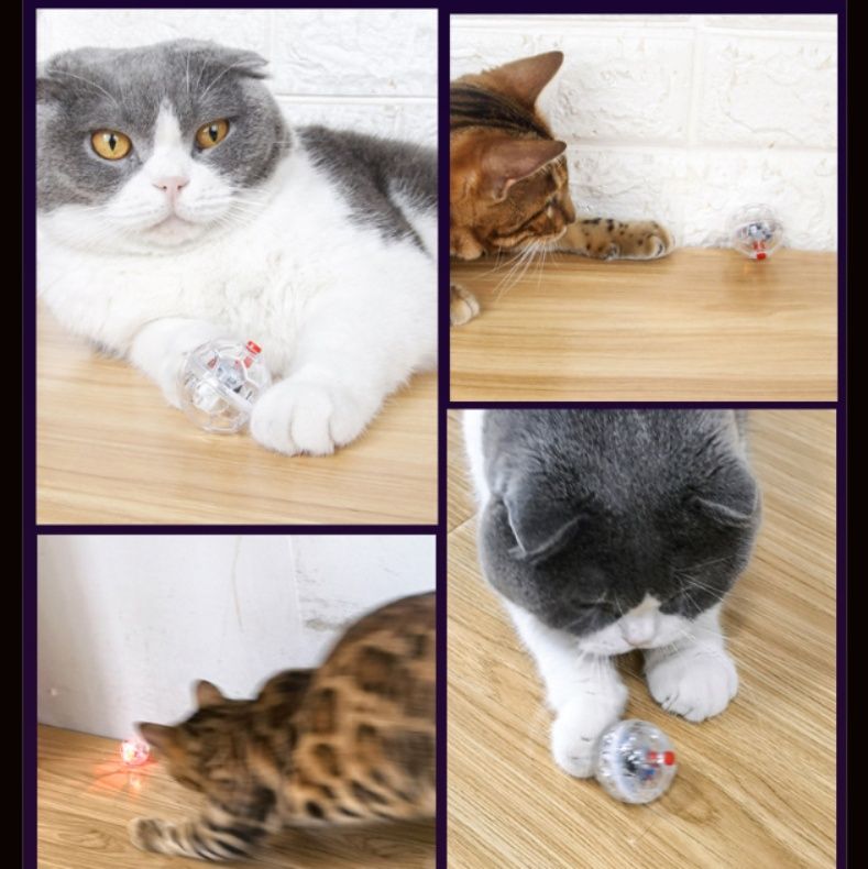 猫グッズ運動不足解消グッズ発光透明ボール