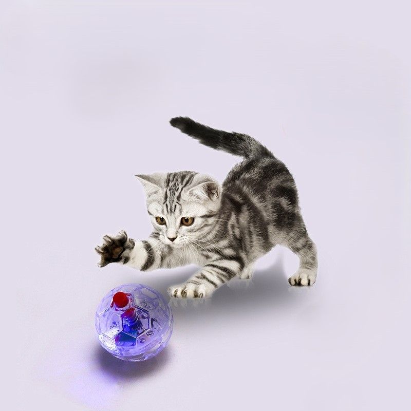 猫グッズ運動不足解消グッズ発光透明ボール