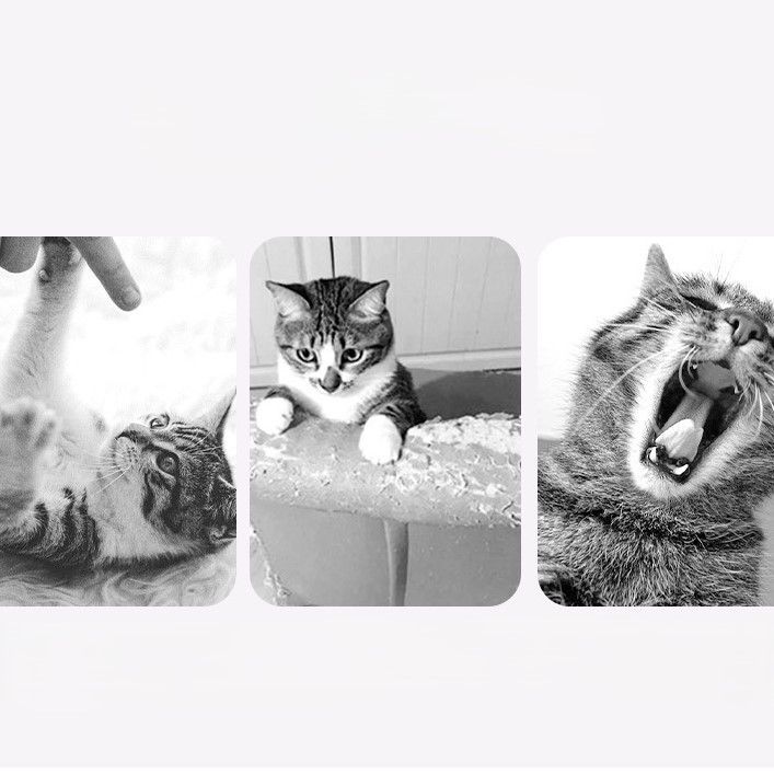 猫グッズ運動不足解消グッズ多段式木製タワー